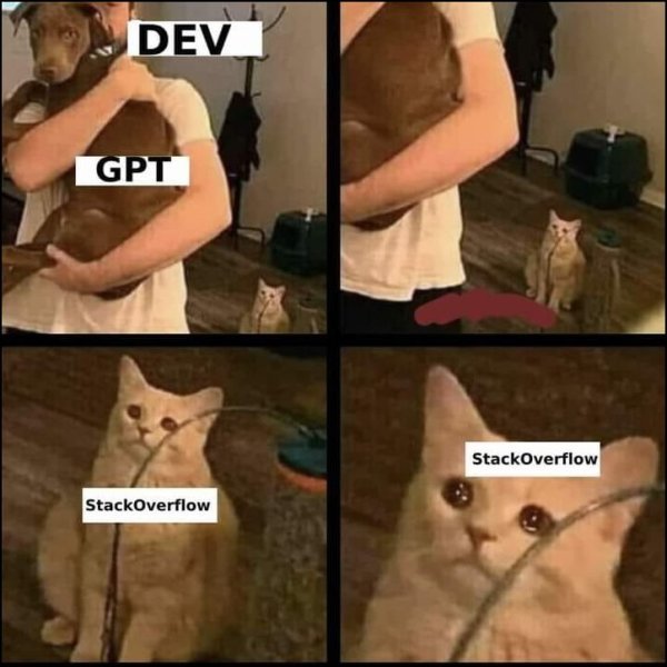 Chat GPT
